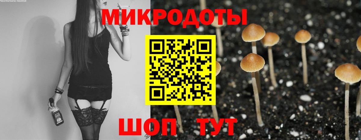 Псилоцибиновые грибы прущие грибы  Вход с VPN  Бахчисарай 